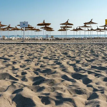 酒店 South Beach - New Management And Free Beach Access